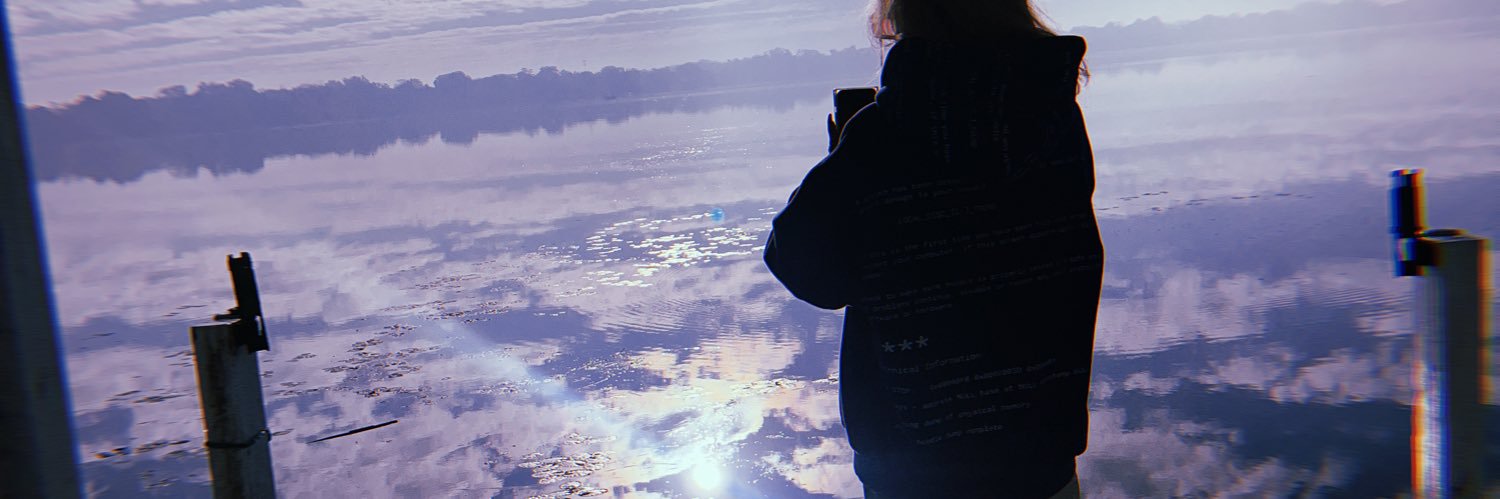 dvisiies's profile banner image
