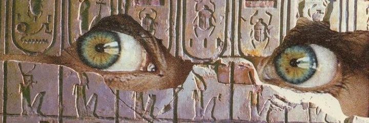 dLKhanIm's profile banner image