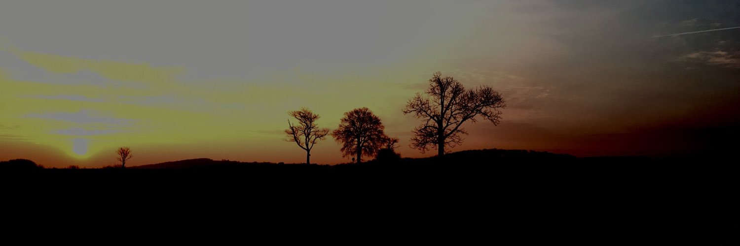 AliceMaeW's profile banner image