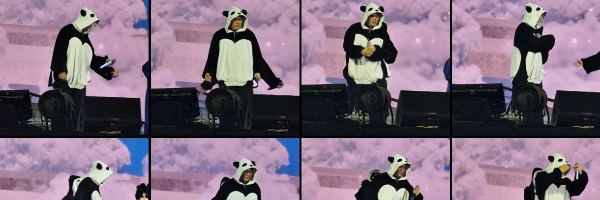 fluffy bear 🐻 banner