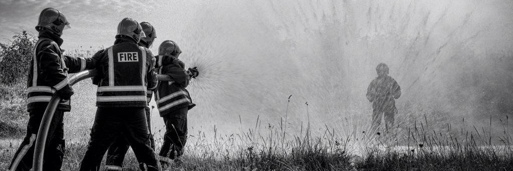 Teri-Ann Parry banner