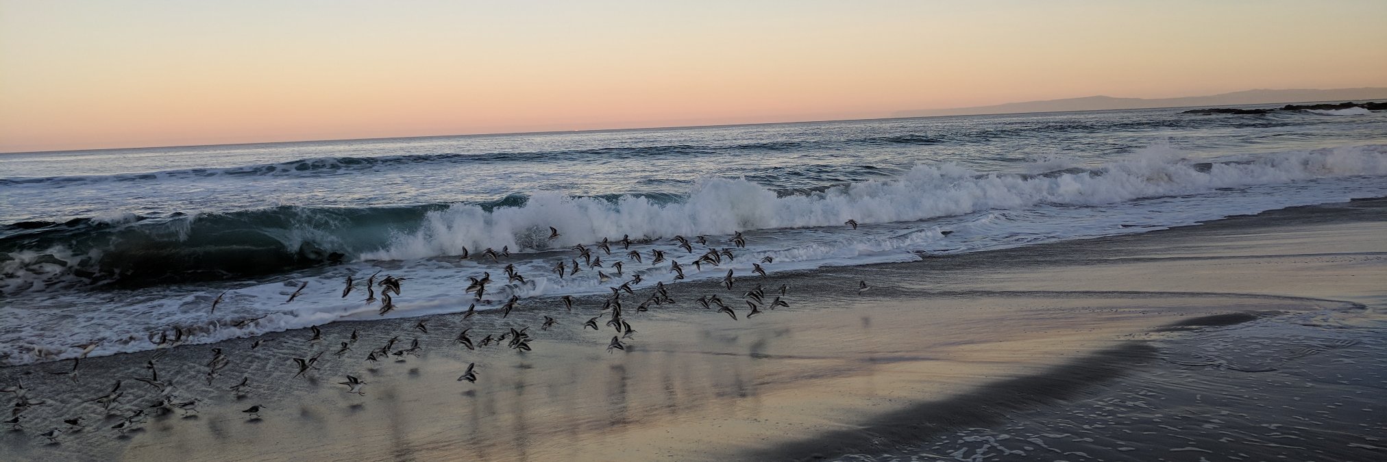 Assemblymember Mark Stone banner