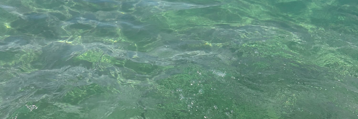 ₑ banner