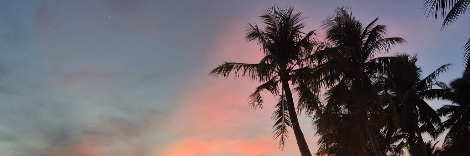 paulalalaley's profile banner image
