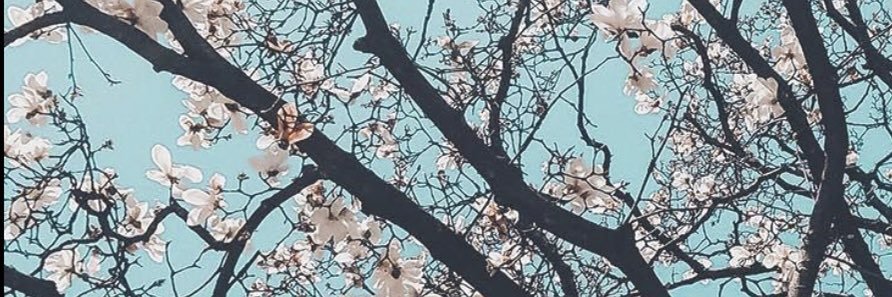 veraxox01's profile banner image