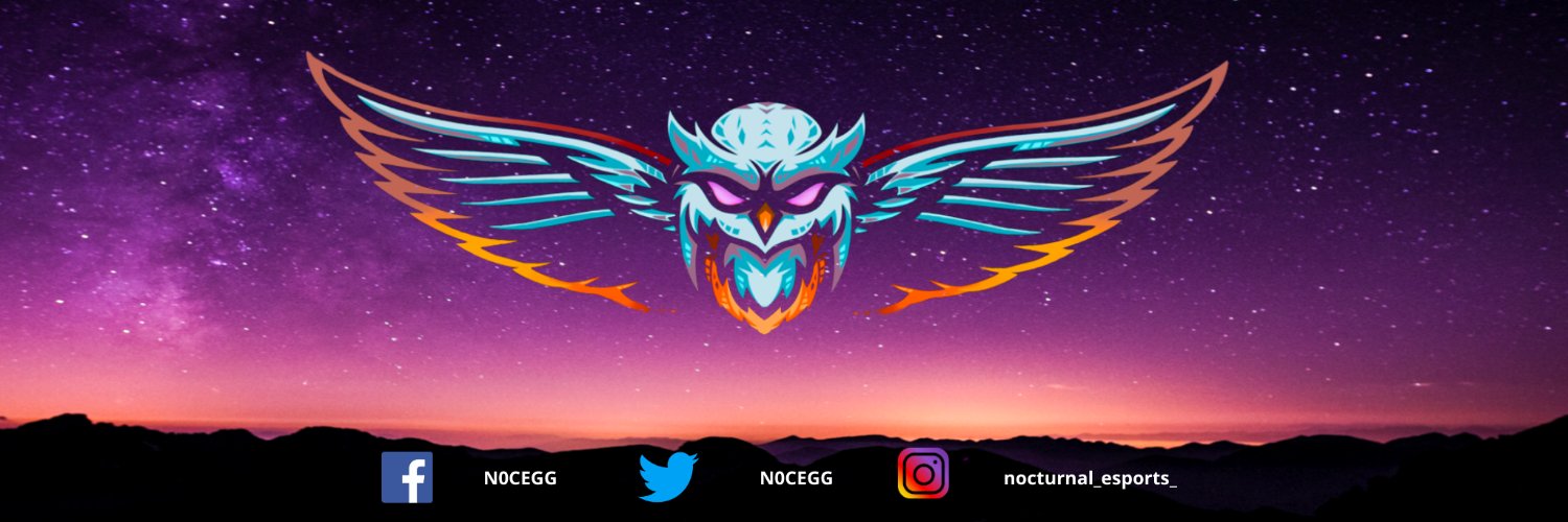 Nocturnal E-Sports banner