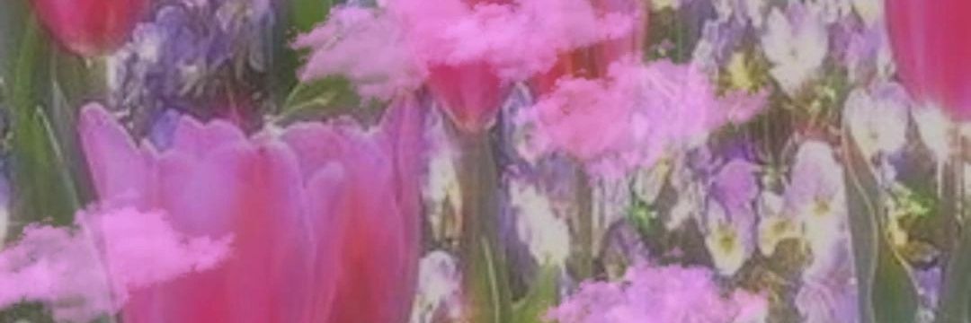 PyschoKK's profile banner image