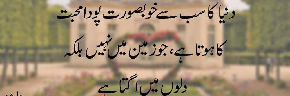 Sher Nawab parwana banner