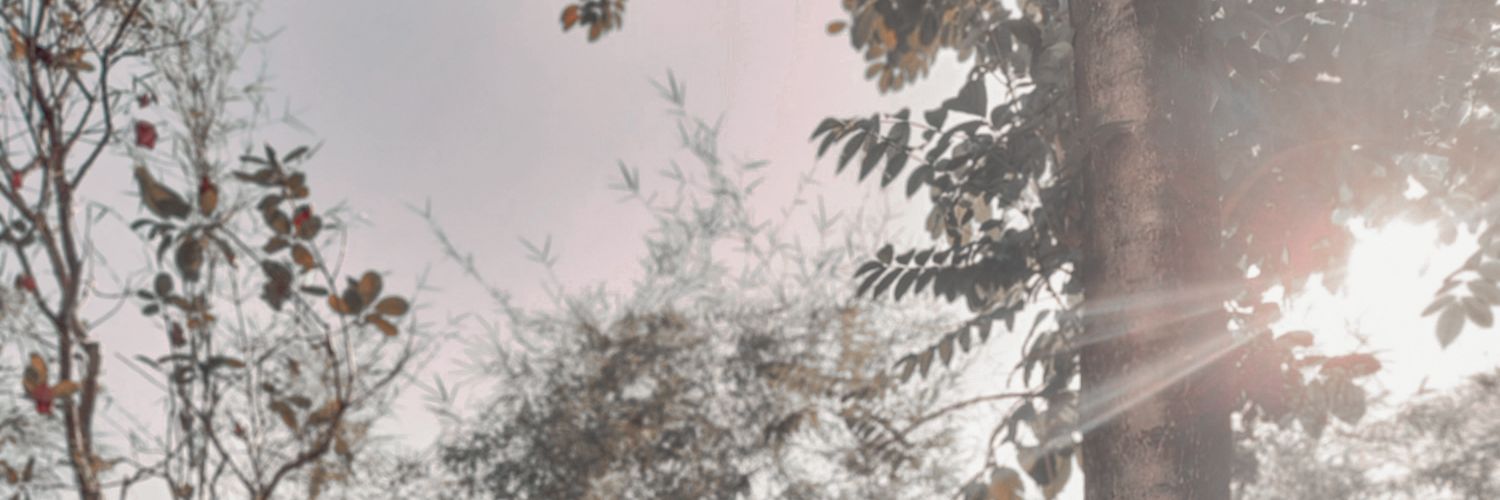 perthpho's profile banner image