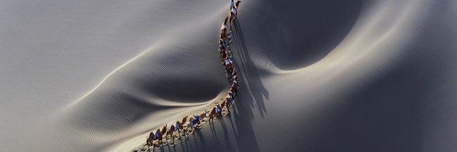 robb_ville's profile banner image