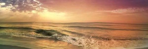 SDelese Profile Banner