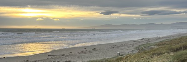 c_s_nicoll Profile Banner