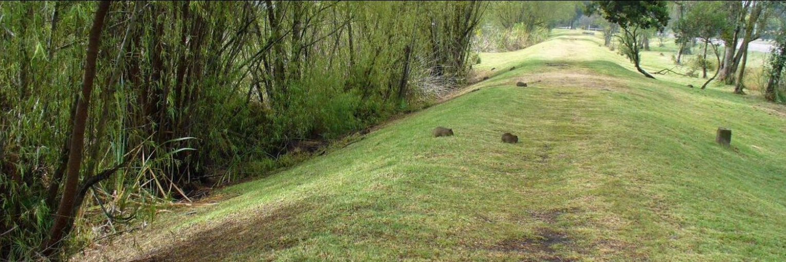 Separador autopista banner