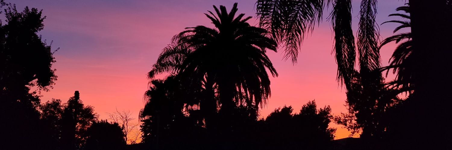 Aranbarrenechea's profile banner image