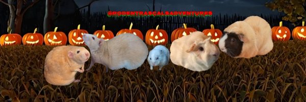 RodentRascals Profile Banner
