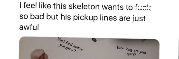 Moblie the Otter banner