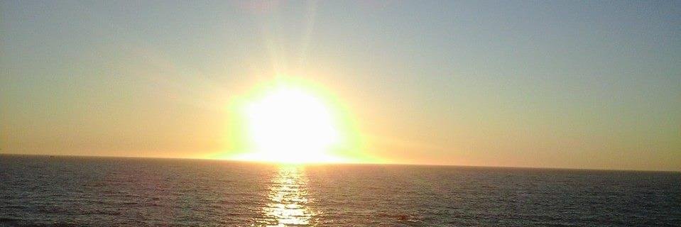 AnaFardilha's profile banner image