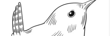 WrennS's profile banner image