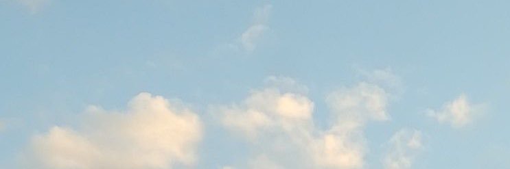 charlotte austin defence league banner