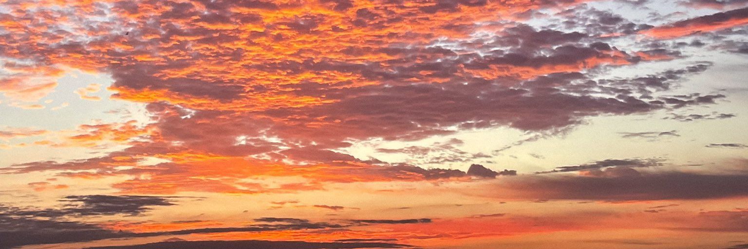 _soniafuentes's profile banner image