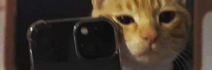 VKS joji banner