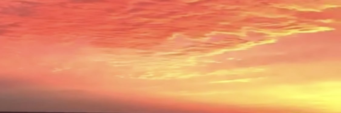 elliewall14's profile banner image