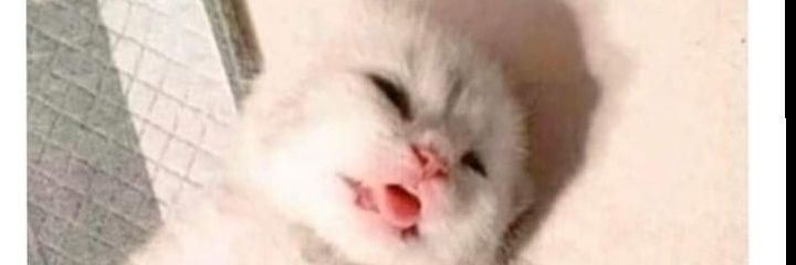 FerAna98's profile banner image