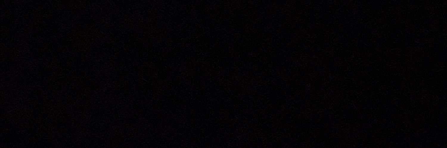travis reeves banner