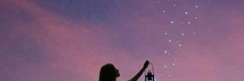 capprigirl_'s profile banner image