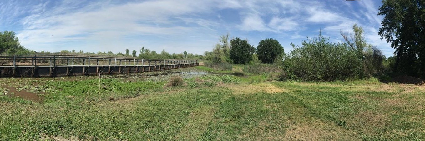 Western Canal WD banner