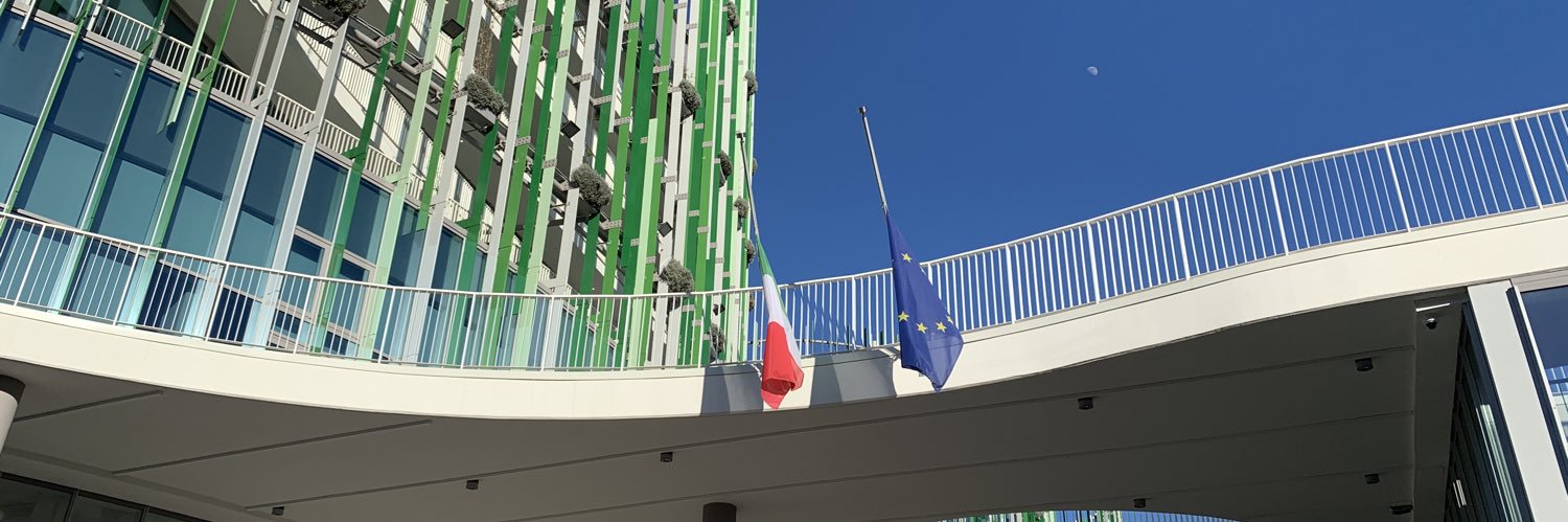 Mirko Daniel Garasic banner