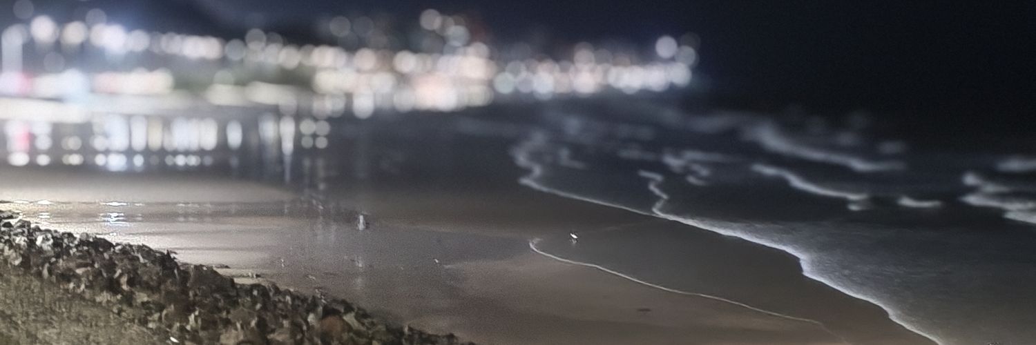 Ricardo Ferreira banner