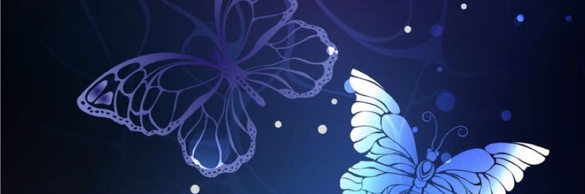 Raja🧩 banner