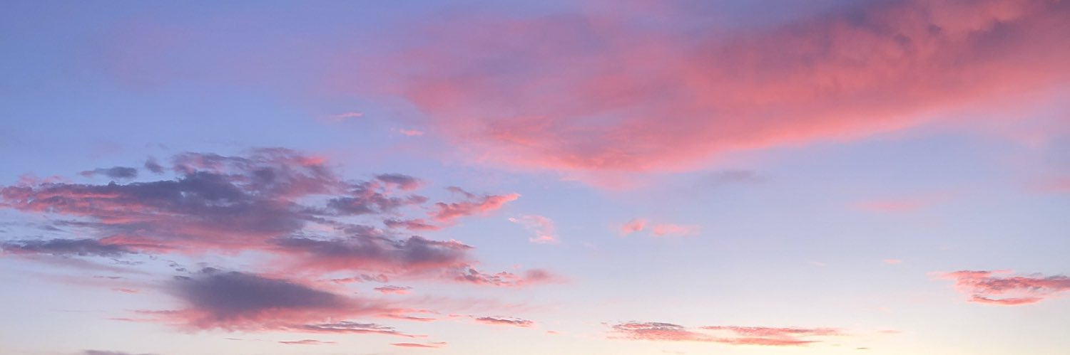 bridgebrom's profile banner image