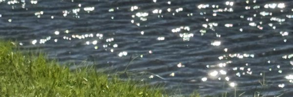 bagdelete Profile Banner