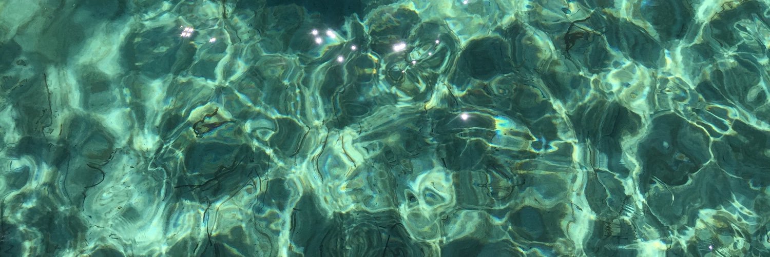 aysukilic's profile banner image