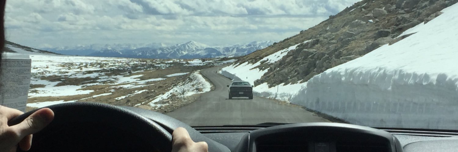 THBear94's profile banner image