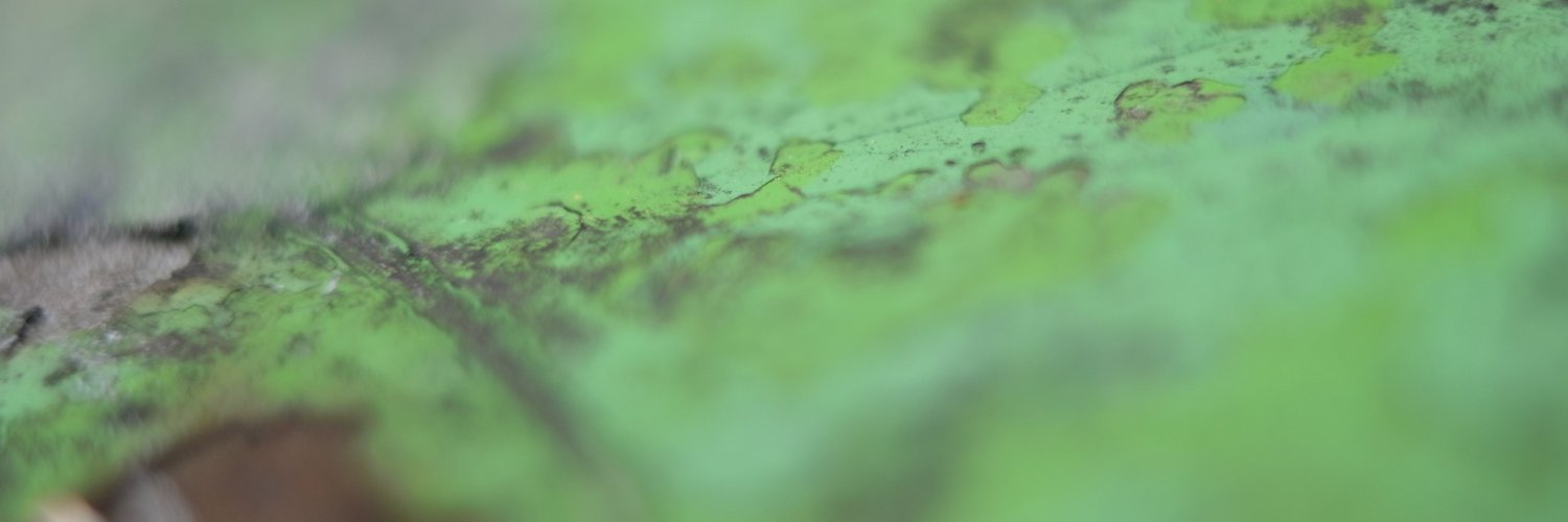 メカ式イモリ banner