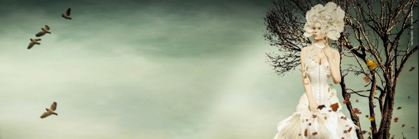 Ladynew banner