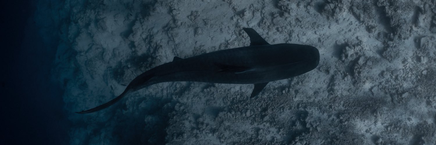 _DiveTheWorld_'s profile banner image