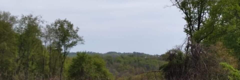 TimCurt12311505's profile banner image