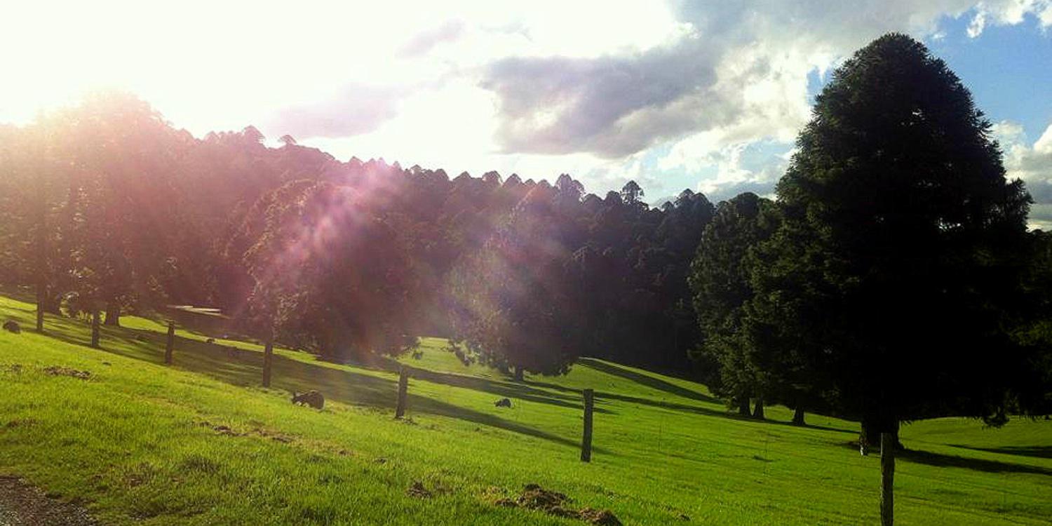 john_edwards's profile banner image