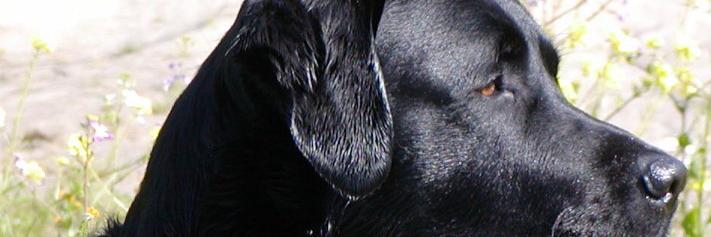 abs4hire's profile banner image