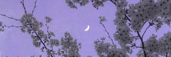 장만월 ☂️🕸️💜 banner