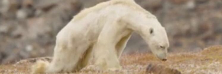tritioch's profile banner image