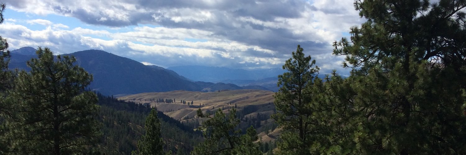 madison_leeman's profile banner image