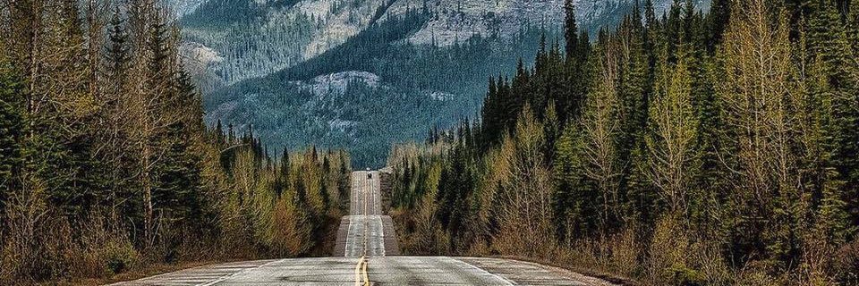 Sarb Randhawa banner