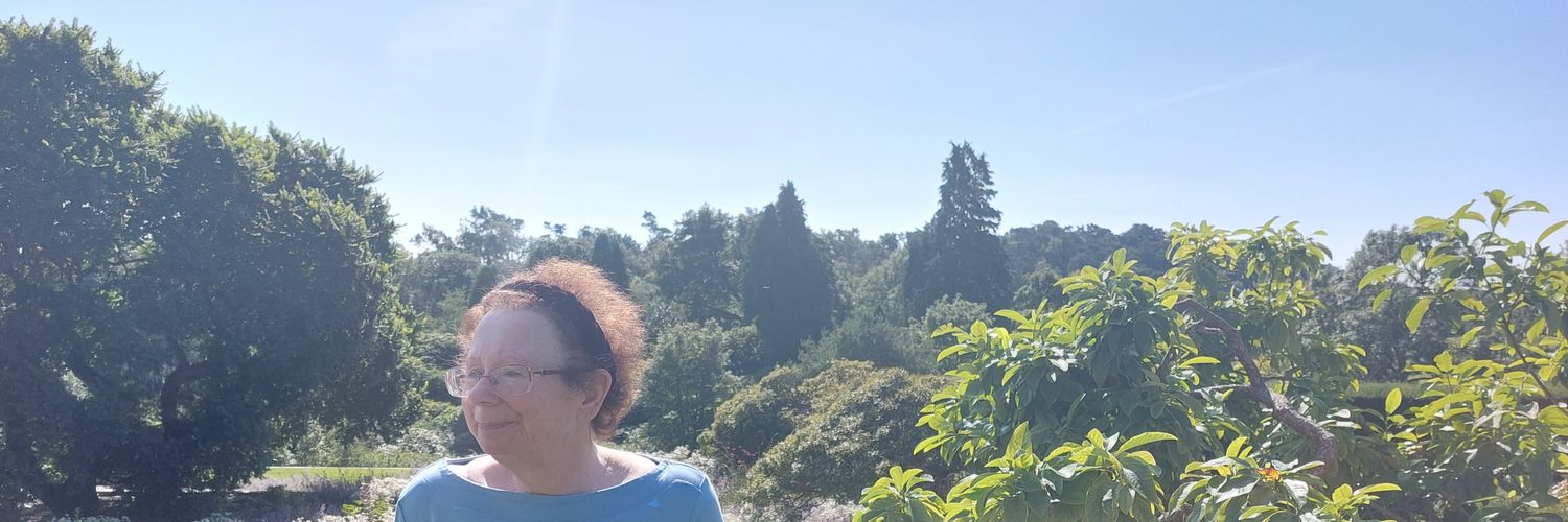 Pat Chanse banner