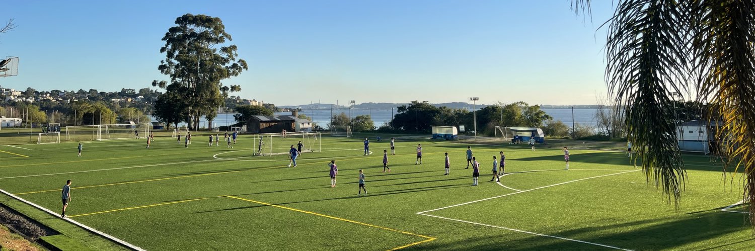 Canarinho Tricolor banner