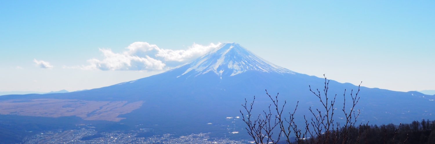Dr. Fares-Alexander Alken, FESC banner
